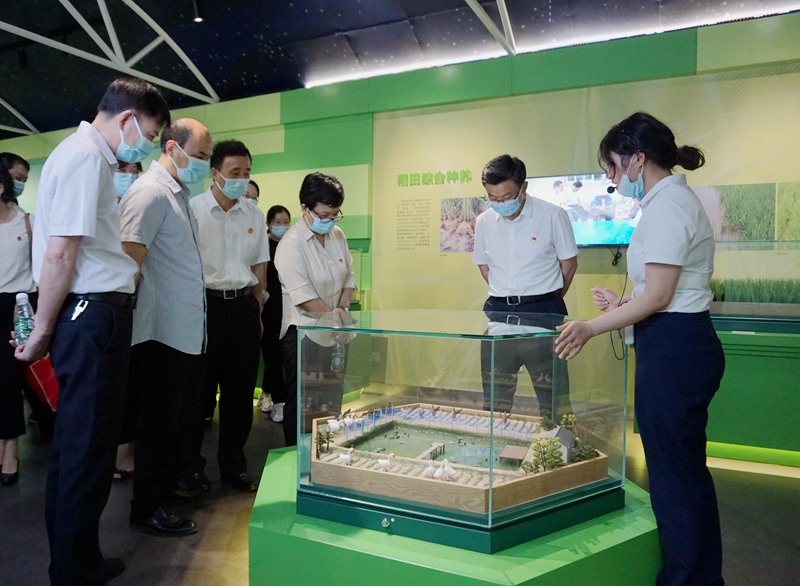 DSC00821_副本.jpg